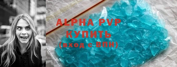 прущий лед Бородино